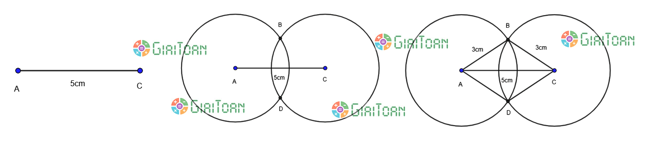 Thực hành 4 trang 82 Toán 6 tập 1 SGK Chân trời sáng tạo