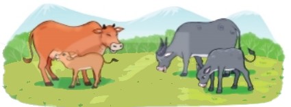 Bài 2 trang 80 Toán lớp 2 tập 1 SGK Kết nối tri thức với cuộc sống