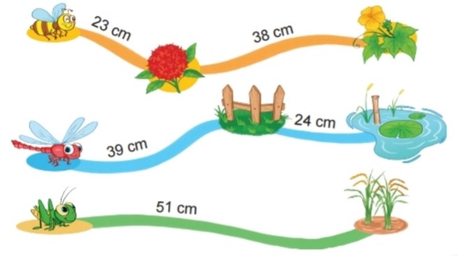 Bài 2 trang 81 Toán lớp 2 tập 1 SGK Kết nối tri thức với cuộc sống