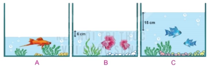 Bài 4 trang 82 Toán lớp 2 tập 1 SGK Kết nối tri thức với cuộc sống