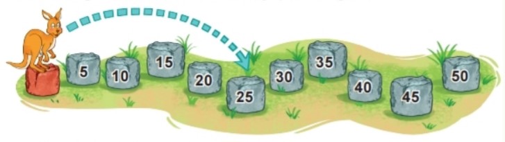 Bài 5 trang 81 Toán lớp 2 tập 1 SGK Kết nối tri thức với cuộc sống