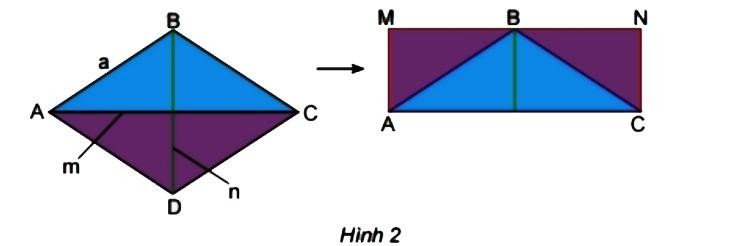 Hoạt động 2 trang 88 Toán 6 tập 1 SGK Chân trời sáng tạo