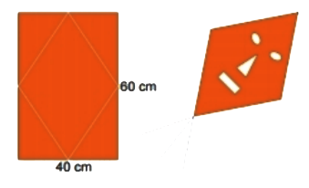 Bài 7 trang 93 Toán 6 tập 1 SGK Chân trời sáng tạo