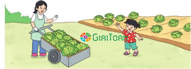 Bài 6 trang 65 Toán lớp 2 tập 1 SGK Cánh Diều