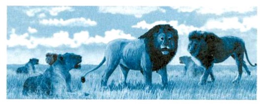 Bài 3 trang 46 Toán lớp 5