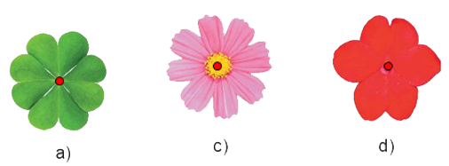 Bài 5.5 trang 107 Toán 6 tập 1 SGK Kết nối tri thức với cuộc sống