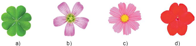 Bài 5.5 trang 107 Toán 6 tập 1 SGK Kết nối tri thức với cuộc sống