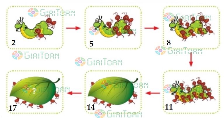 Bài 4 trang 116 Toán lớp 2 tập 1 SGK Chân trời sáng tạo