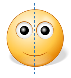 Luyện tập 1 trang 109 Toán 6 tập 1 SGK Cánh Diều