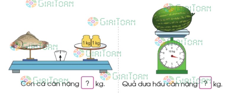 Bài 1 trang 76 Toán lớp 2 tập 1 SGK Cánh Diều