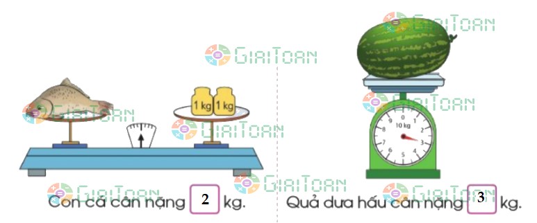 Bài 1 trang 76 Toán lớp 2 tập 1 SGK Cánh Diều