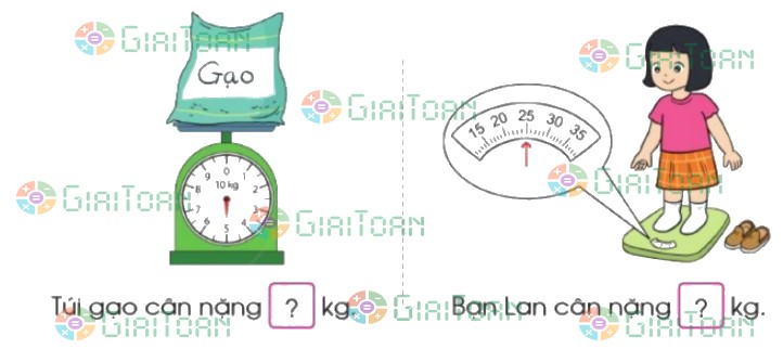 Bài 1 trang 80 Toán lớp 2 tập 1 SGK Cánh Diều