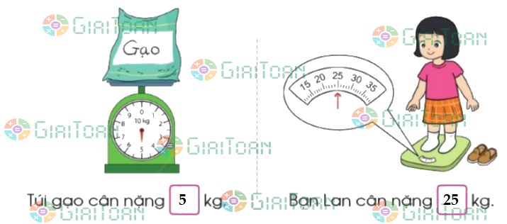 Bài 1 trang 80 Toán lớp 2 tập 1 SGK Cánh Diều