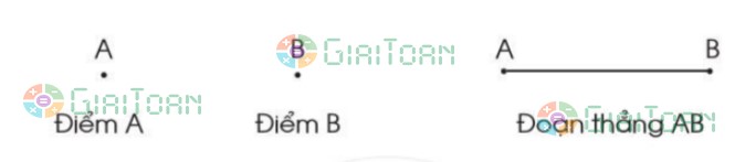 Bài 1 trang 84 Toán lớp 2 tập 1 SGK Cánh Diều