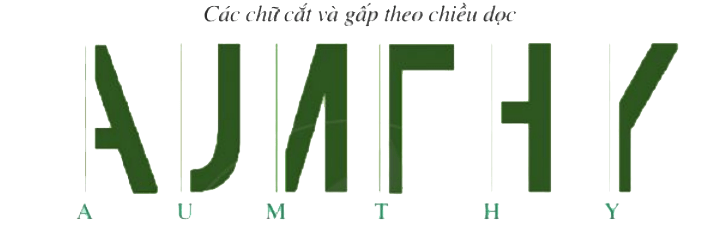 Bài 2 trang 116 Toán 6 tập 1 SGK Cánh Diều