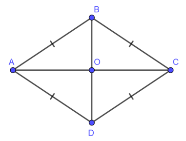 Bài 2 trang 117 Toán 6 tập 1 SGK Cánh Diều