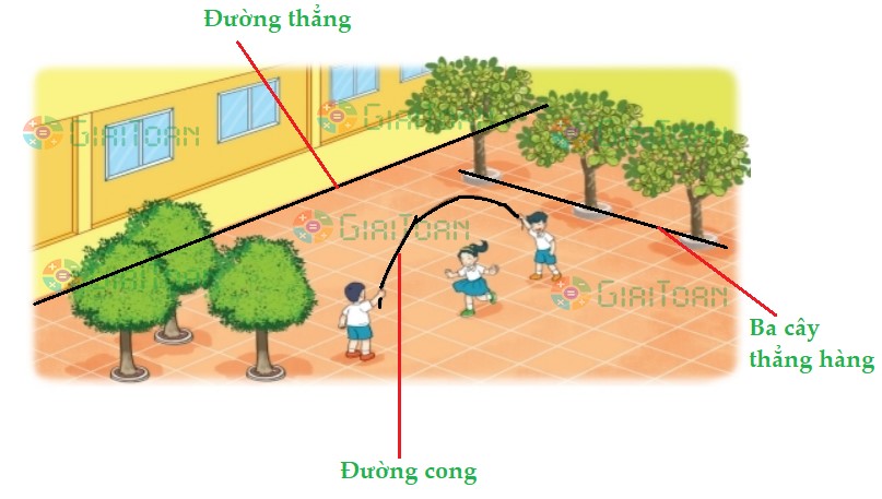 Bài 4 trang 101 Toán lớp 2 tập 1 SGK Kết nối tri thức với cuộc sống