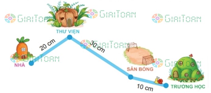 Bài 5 trang 111 Toán lớp 2 tập 1 SGK Kết nối tri thức với cuộc sống