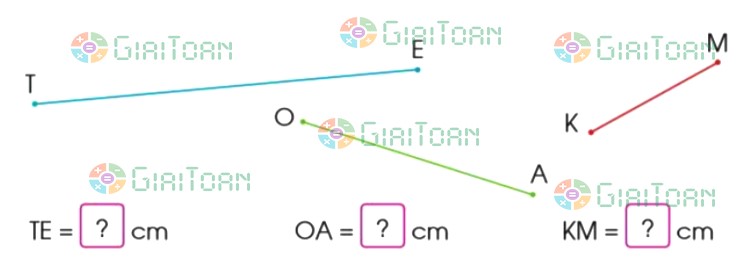 Bài 1 trang 88 Toán lớp 2 tập 1 SGK Cánh Diều