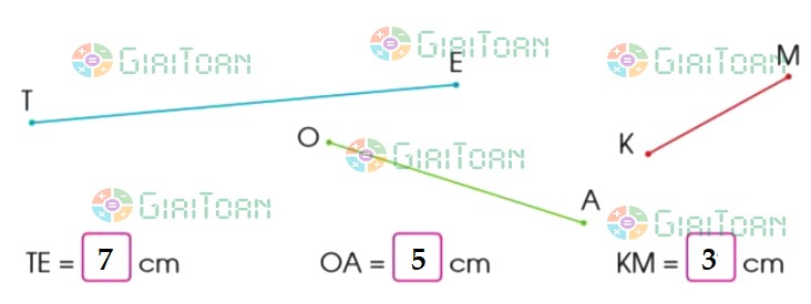 Bài 1 trang 88 Toán lớp 2 tập 1 SGK Cánh Diều