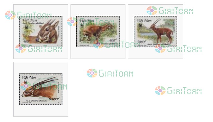 Bài 4 trang 94 Toán lớp 2 tập 1 SGK Cánh Diều