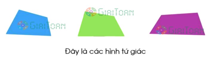 Bài 4 trang 99 Toán lớp 2 tập 1 SGK Cánh Diều