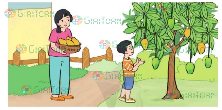 Bài 5 trang 97 Toán lớp 2 tập 1 SGK Cánh Diều