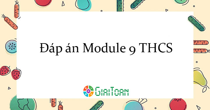 Đáp án câu hỏi tương tác Mô đun 9 THCS Bài tập cuối khóa Module 9 THCS