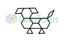 Đề thi học kì 1 Toán 6 năm học 2021 - 2022 Chân trời sáng tạo Đề số 1