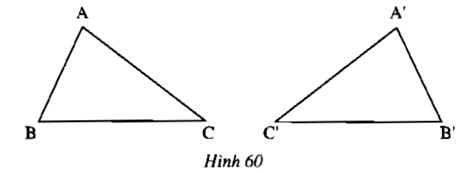 Câu hỏi 1 trang 110 SGK Toán 7 tập 1