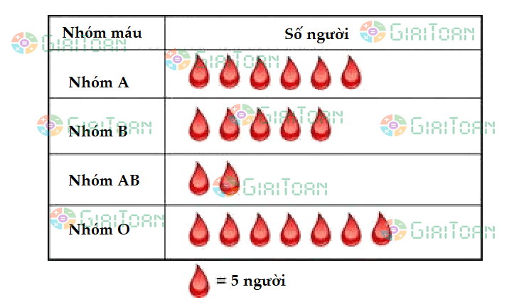 Đề thi học kì 1 Toán 6 năm học 2021 - 2022 Chân trời sáng tạo Đề số 4