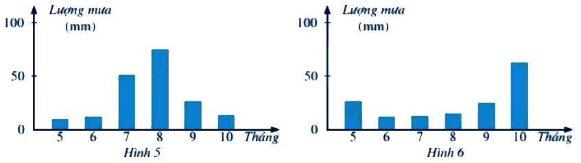 Bài 5 trang 9 Toán 6 tập 2 SGK Cánh Diều