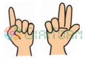 Toán Finger Math dành cho trẻ từ 3 – 8 tuổi
