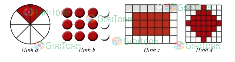 Bài 6 trang 12 Toán 6 tập 2 SGK Chân trời sáng tạo