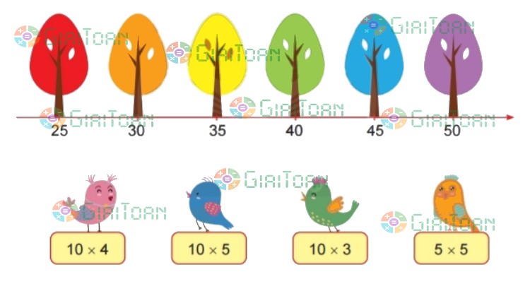 Bài 5 trang 11 Toán lớp 2 tập 2 SGK Chân trời sáng tạo