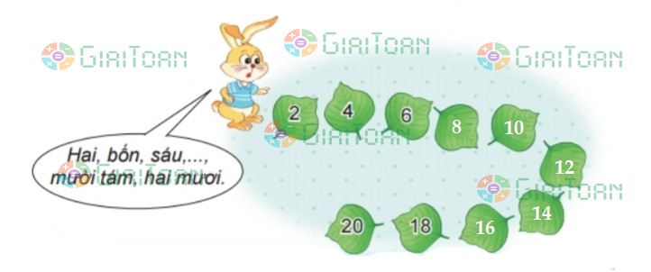 Bài 2 trang 10 Toán lớp 2 tập 2 SGK Kết nối tri thức với cuộc sống