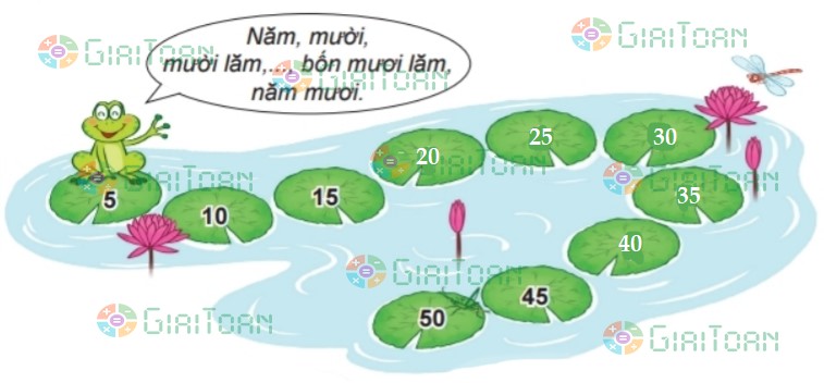 Bài 2 trang 14 Toán lớp 2 tập 2 SGK Kết nối tri thức với cuộc sống