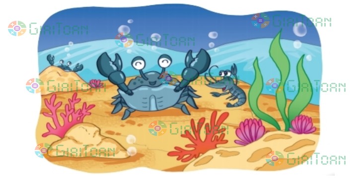 Bài 4 trang 11 Toán lớp 2 tập 2 SGK Kết nối tri thức với cuộc sống