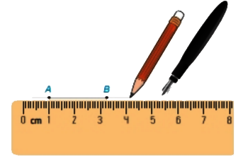 Hoạt động 1 trang 44 Toán 6 tập 2 SGK Kết nối tri thức với cuộc sống