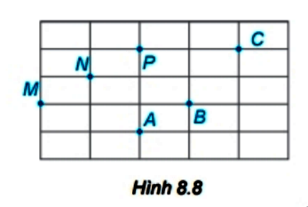 Luyện tập 1 trang 45 Toán 6 tập 2 SGK Kết nối tri thức với cuộc sống