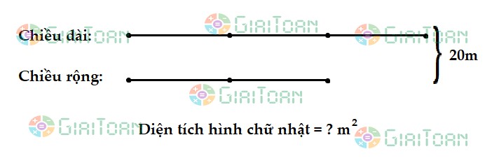 Tính diện tích hình chữ nhật có tỉ số giữa hai cạnh của nó là 2/3 và chu vi bằng 40m