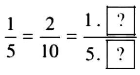 Hoạt động 5 trang 27 Toán 6 tập 2 SGK Cánh Diều