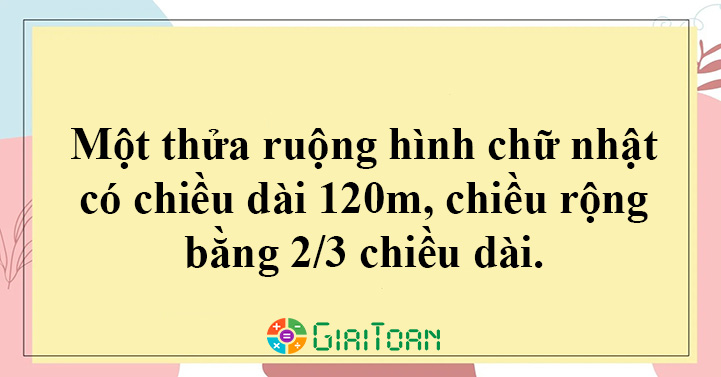 Cẩm nang cách tính diện tích thửa ruộng hình chữ nhật hiệu quả và chuẩn xác