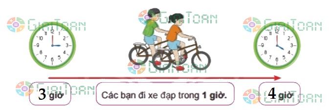 Bài 3 trang 29 Toán lớp 2 tập 2 SGK Chân trời sáng tạo