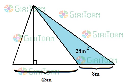 Tìm diện tích khu đất hình tam giác có đáy 43m, biết rằng nếu kéo dài thêm 8m thì diện tích tăng thêm 28m2