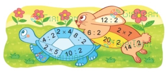 Hoạt động 2 trang 22 Toán lớp 2 tập 2 SGK Kết nối tri thức với cuộc sống