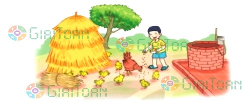 Hoạt động 3 trang 22 Toán lớp 2 tập 2 SGK Kết nối tri thức với cuộc sống
