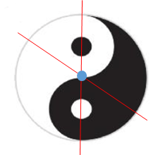 Bài 1 trang 58 Toán 6 tập 2 SGK Chân trời sáng tạo