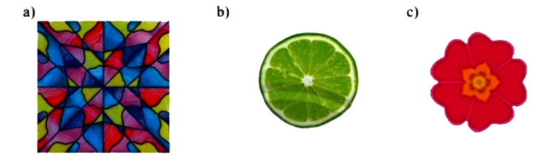 Bài 2 trang 58 Toán 6 tập 2 SGK Chân trời sáng tạo