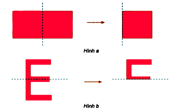 Hoạt động trang 52 Toán 6 tập 2 SGK Chân trời sáng tạo
